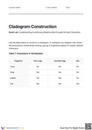 Basic Cladogram: Understanding Evolution