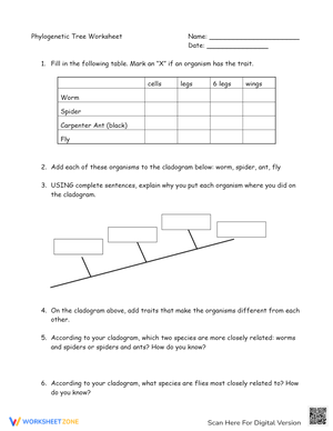 Cladograms