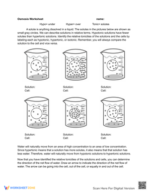 Osmosis Worksheet