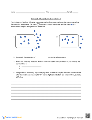 Diffusion Osmosis: Understanding Cell Transport