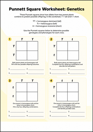 Grade 8-10 Punnett Squares — Printable No-Prep Worksheet