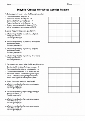 Printable Dihybrid Crosses Worksheet | Grade 9-11 Biology