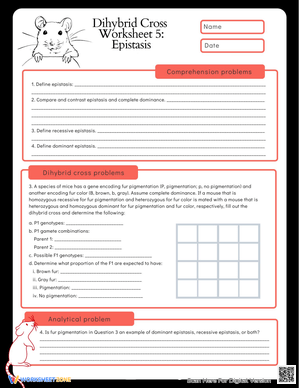 Explore Dihybrid Cross with this Worksheet
