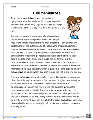 Cell Membranes Worksheet for Biology Students