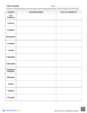 Cells Organelles Worksheet