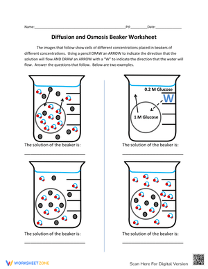 Practice Osmosis and Diffusion with this Worksheet