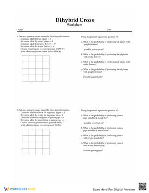 Dihybrid Cross Genetics Practice Worksheet