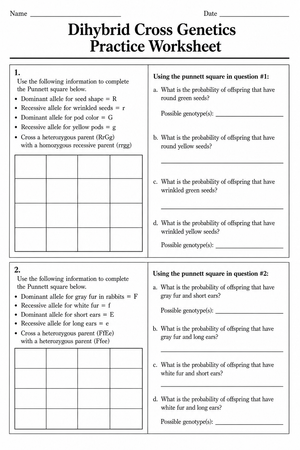 Dihybrid Cross Genetics Worksheet | Grade 9-11 Printable
