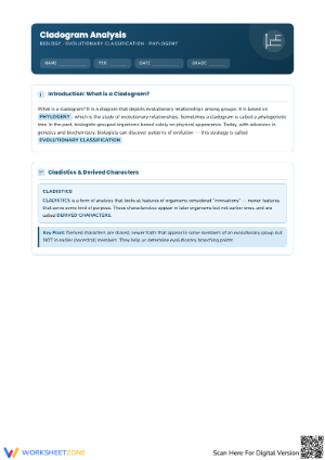 Cladogram Activity Worksheet: Understand Evolutionary Relationships