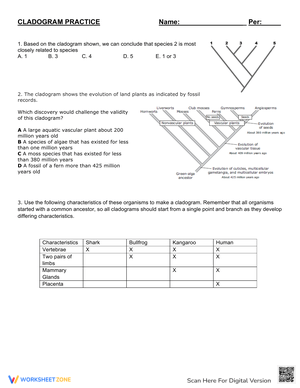Grade 9 Cladogram Worksheets 2024