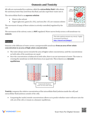 Osmosis and Tonicity Note Worksheet
