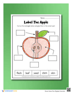 Label The Apple Worksheet