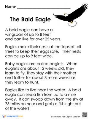 Learning About the Bald Eagle: A Wildlife Worksheet