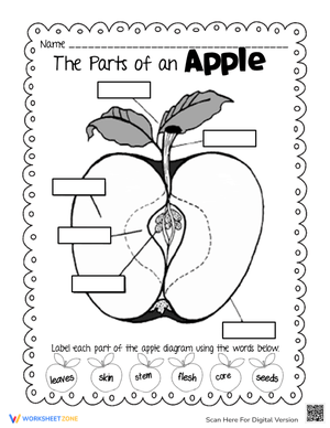 Learning the Parts of an Apple Worksheet