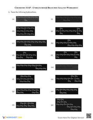 Worksheet on Branched Alkanes