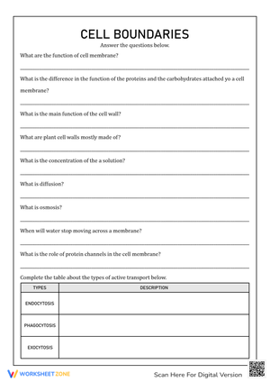 Explore Cell Boundaries with this Science Worksheet