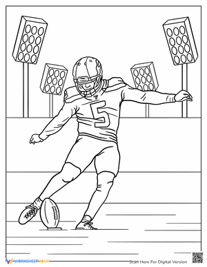 NFL Football Kicker