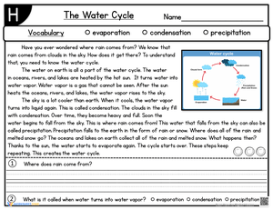 The Water Cycle Worksheet for Kids