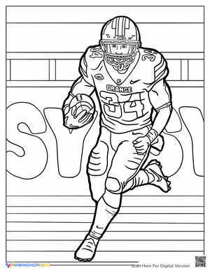Detailed Quarterback
