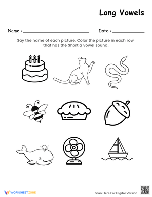 Grade 2 Long and Short Vowels Worksheets 2024