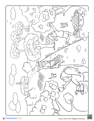 Picking Apples in the Orchard Coloring Page