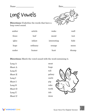 Long Vowels Practice Worksheet