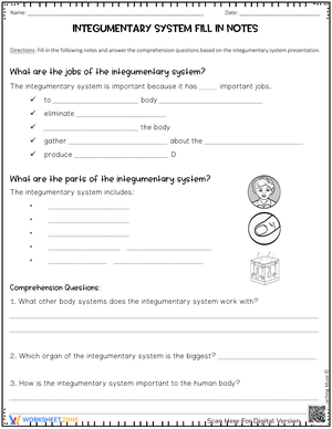 Integumentary System Fill-In Notes Worksheet