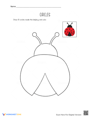 Draw Circles Worksheet