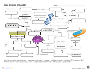 Cell Graphic Organizer Worksheet