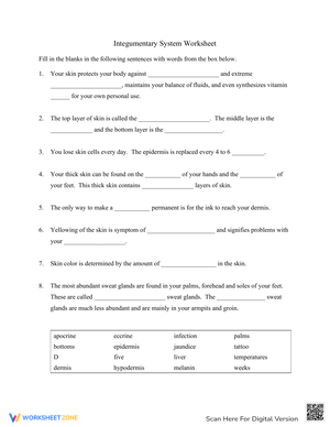 Grade 6 Integumentary System Review Worksheets 2024 Grade 6 Integumentary System Review Worksheets 2024