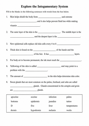 Essential Integumentary System Worksheet | Grade 7 Science