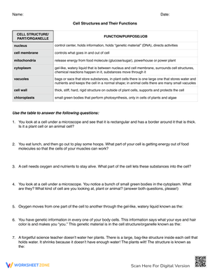 Cell Structures and Their Functions