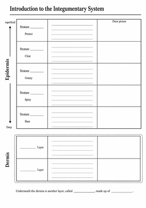 Printable Integumentary System Worksheet | Grade 7 Science