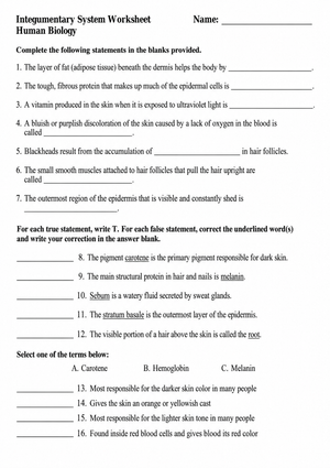 Essential Integumentary System Worksheet | Grade 7 Science