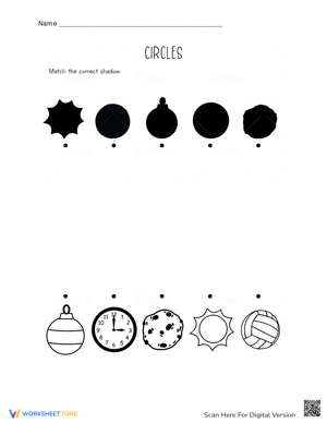 Match the Circles Activity