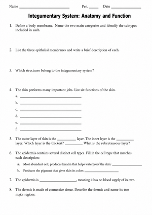 Grade 7 Integumentary System — Printable No-Prep Worksheet
