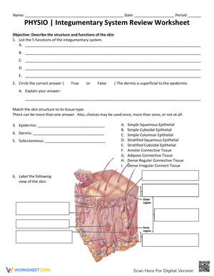 Integumentary System Review Worksheet