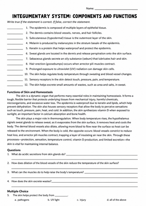 Integumentary System Worksheet | Essential Grade 7 Science