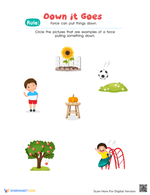 Down It Goes Science Experiment Worksheet