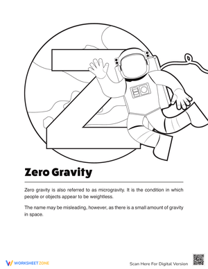 Understanding Zero Gravity Worksheet for Students