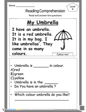 My Umbrella Reading Comprehension Worksheet for Kids