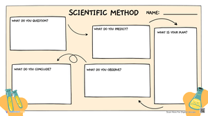 Scientific Method Graphic Organizer