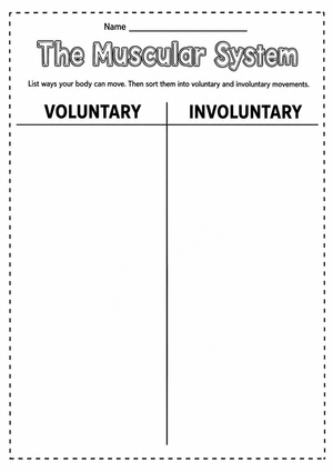 Muscular System T-Chart | Grade 6 Printable Worksheet