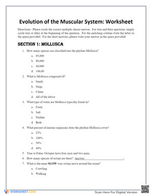 Evolution of the Muscular System Worksheet
