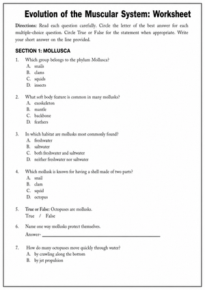 Printable Muscular System Evolution Worksheet | Grade 8-10
