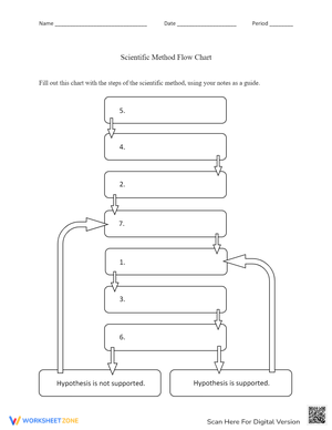 Scientific Method Flow Chart Worksheet