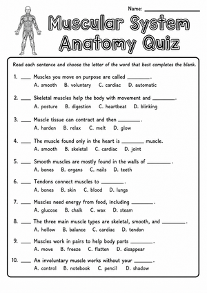 Muscular System Anatomy Quiz | Essential Grade 6-8 Science