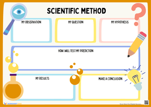 Scientific Method Practice Worksheet