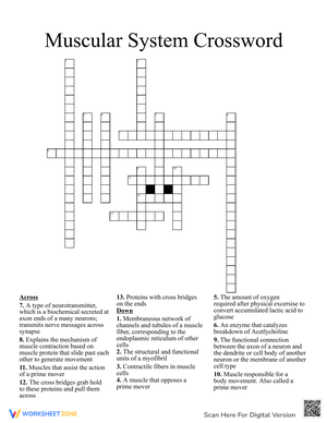 Muscular System Crossword Worksheet