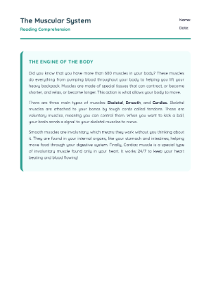 Muscular System Reading Comprehension